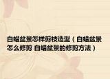白蜡盆景怎样剪枝造型（白蜡盆景怎么修剪 白蜡盆景的修剪方法）