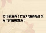 竹代表生肖（竹花12生肖是什么肖 竹花是蛇生肖）