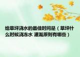 给草坪浇水的最佳时间是（草坪什么时候浇冻水 灌溉原则有哪些）