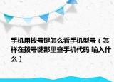 手机用拨号键怎么看手机型号（怎样在拨号键那里查手机代码 输入什么）