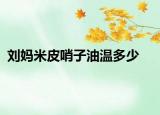 刘妈米皮哨子油温多少