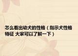 怎么看出幼犬的性格（指示犬性格特征 大家可以了解一下）