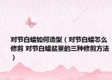 对节白蜡如何造型（对节白蜡怎么修剪 对节白蜡盆景的三种修剪方法）