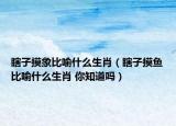 瞎子摸象比喻什么生肖（瞎子摸鱼比喻什么生肖 你知道吗）