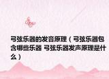 弓弦乐器的发音原理（弓弦乐器包含哪些乐器 弓弦乐器发声原理是什么）