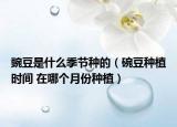 豌豆是什么季节种的（碗豆种植时间 在哪个月份种植）