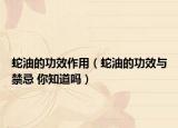 蛇油的功效作用（蛇油的功效与禁忌 你知道吗）