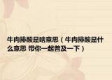 牛肉排酸是啥意思（牛肉排酸是什么意思 带你一起普及一下）