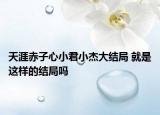 天涯赤子心小君小杰大结局 就是这样的结局吗