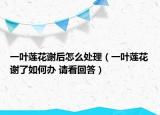 一叶莲花谢后怎么处理（一叶莲花谢了如何办 请看回答）