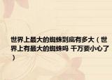 世界上最大的蜘蛛到底有多大（世界上有最大的蜘蛛吗 千万要小心了）
