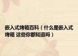 嵌入式烤箱百科（什么是嵌入式烤箱 这些你都知道吗）