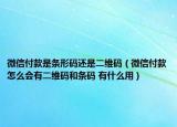 微信付款是条形码还是二维码（微信付款怎么会有二维码和条码 有什么用）