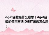 dget函数是什么意思（dget函数的使用方法 DGET函数怎么用）