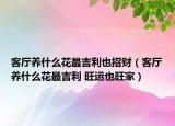 客厅养什么花最吉利也招财（客厅养什么花最吉利 旺运也旺家）