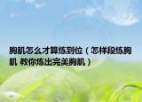 胸肌怎么才算练到位（怎样段练胸肌 教你炼出完美胸肌）