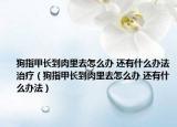狗指甲长到肉里去怎么办 还有什么办法治疗（狗指甲长到肉里去怎么办 还有什么办法）