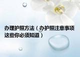 办理护照方法（办护照注意事项 这些你必须知道）