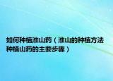 如何种植淮山药（淮山的种植方法 种植山药的主要步骤）