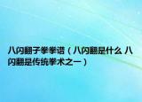 八闪翻子拳拳谱（八闪翻是什么 八闪翻是传统拳术之一）