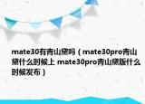 mate30有青山黛吗（mate30pro青山黛什么时候上 mate30pro青山黛版什么时候发布）
