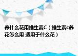 养什么花用维生素C（维生素c养花怎么用 适用于什么花）