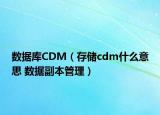 数据库CDM（存储cdm什么意思 数据副本管理）