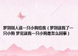 梦到别人送一只小狗给我（梦到送我了一只小狗 梦见送我一只小狗是怎么回事）