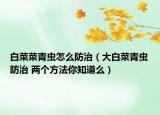 白菜菜青虫怎么防治（大白菜青虫防治 两个方法你知道么）