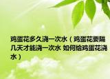 鸡蛋花多久浇一次水（鸡蛋花要隔几天才能浇一次水 如何给鸡蛋花浇水）