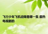 飞行少年飞机迫降是哪一集 最热电视剧的