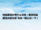 鸡血藤泡水有什么功效（桑枝鸡血藤泡水的功效 与你一起认识一下）