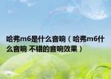 哈弗m6是什么音响（哈弗m6什么音响 不错的音响效果）