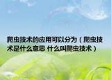 爬虫技术的应用可以分为（爬虫技术是什么意思 什么叫爬虫技术）