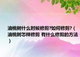 油桃树什么时候修剪?如何修剪?（油桃树怎样修剪 有什么修剪的方法）