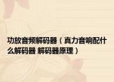 功放音频解码器（真力音响配什么解码器 解码器原理）