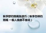 秋季野钓翘嘴鱼技巧（秋季怎样钓翘嘴 一般人我都不告诉）