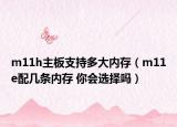 m11h主板支持多大内存（m11e配几条内存 你会选择吗）