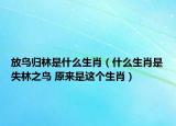 放鸟归林是什么生肖（什么生肖是失林之鸟 原来是这个生肖）