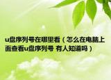 u盘序列号在哪里看（怎么在电脑上面查看u盘序列号 有人知道吗）
