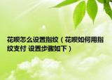 花呗怎么设置指纹（花呗如何用指纹支付 设置步骤如下）