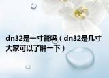 dn32是一寸管吗（dn32是几寸 大家可以了解一下）
