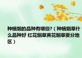 种植烟的品种有哪些?（种植烟草什么品种好 红花烟草黄花烟草要分地区）