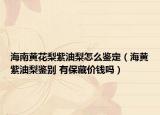 海南黄花梨紫油梨怎么鉴定（海黄紫油梨鉴别 有保藏价钱吗）