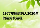 1977年属蛇的人2020年的运势及运程