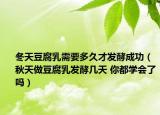 冬天豆腐乳需要多久才发酵成功（秋天做豆腐乳发酵几天 你都学会了吗）