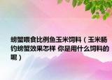 螃蟹喂食比例鱼玉米饲料（玉米肠钓螃蟹效果怎样 你是用什么饲料的呢）