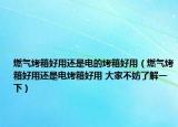 燃气烤箱好用还是电的烤箱好用（燃气烤箱好用还是电烤箱好用 大家不妨了解一下）