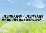 大慈恩寺是大雁塔吗（大慈恩寺内大雁塔是哪里的 陕西省西安市南郊大慈恩寺内）