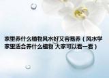 家里养什么植物风水好又容易养（风水学家里适合养什么植物 大家可以看一看）